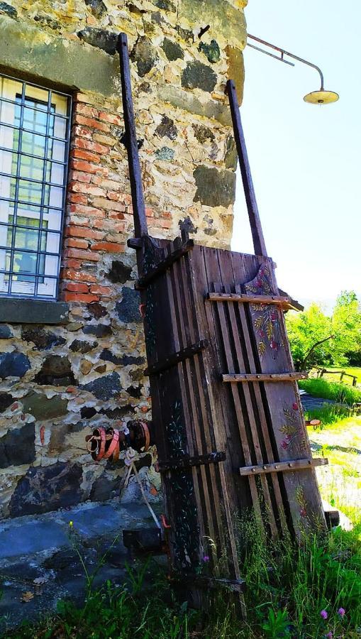 Agriturismo Paneolio Villa Collemandina Bagian luar foto