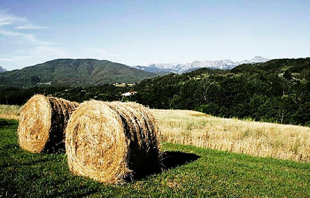 Agriturismo Paneolio Villa Collemandina Bagian luar foto