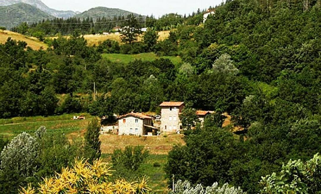 Agriturismo Paneolio Villa Collemandina Bagian luar foto