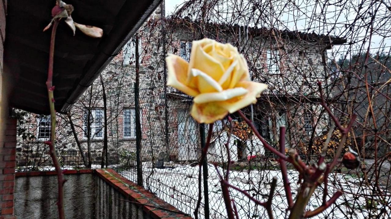 Agriturismo Paneolio Villa Collemandina Bagian luar foto