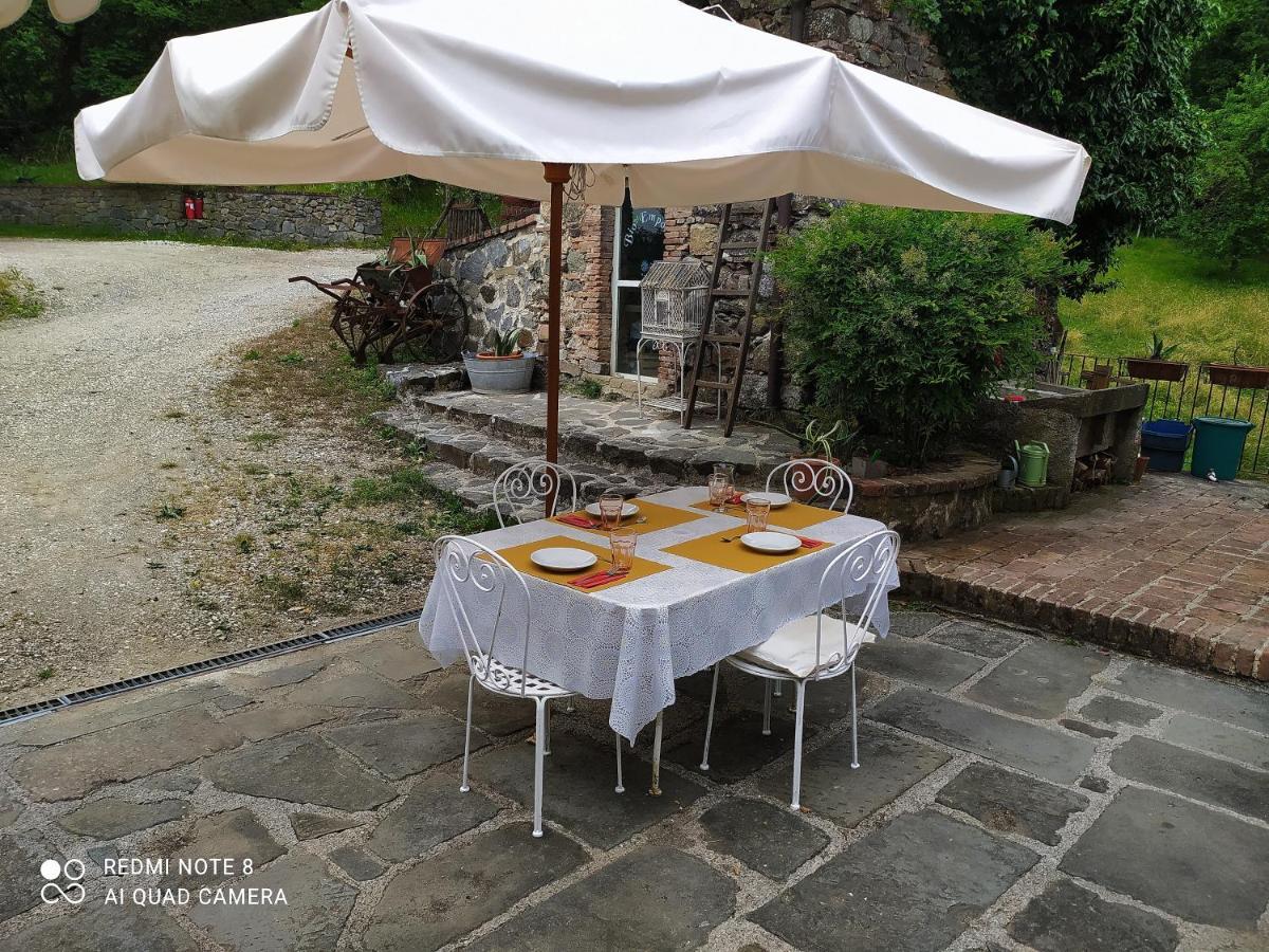 Agriturismo Paneolio Villa Collemandina Bagian luar foto