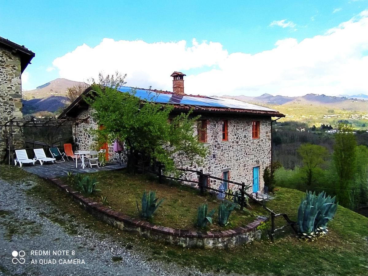 Agriturismo Paneolio Villa Collemandina Bagian luar foto